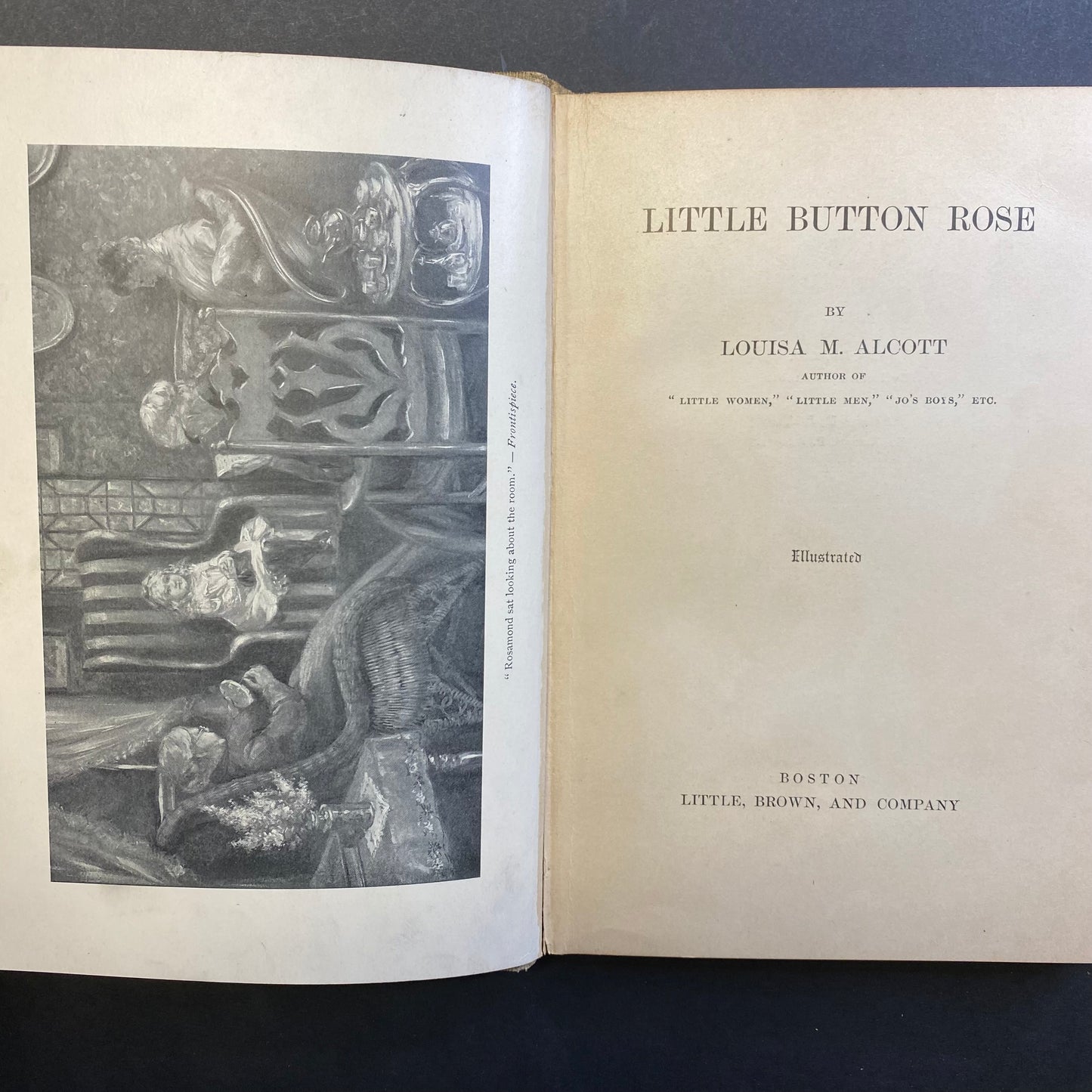 Little Button Rose - Louisa M. Alcott - 1st Thus - 1901