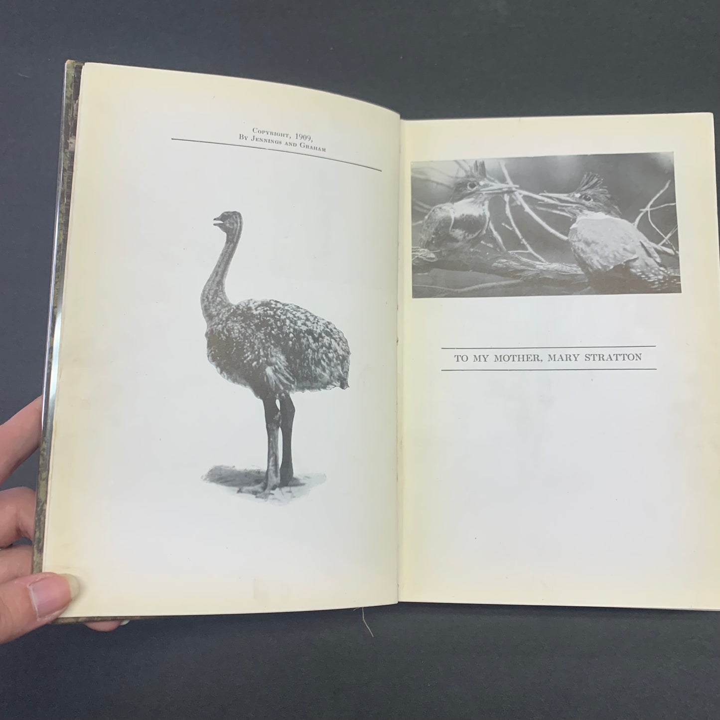 Birds of The Bible - Gene Stratton Porter - 1909