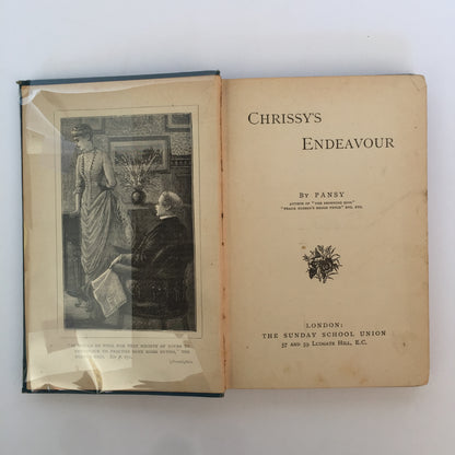 Chrissy’s Endeavour - Isabella Alden “Pansy”