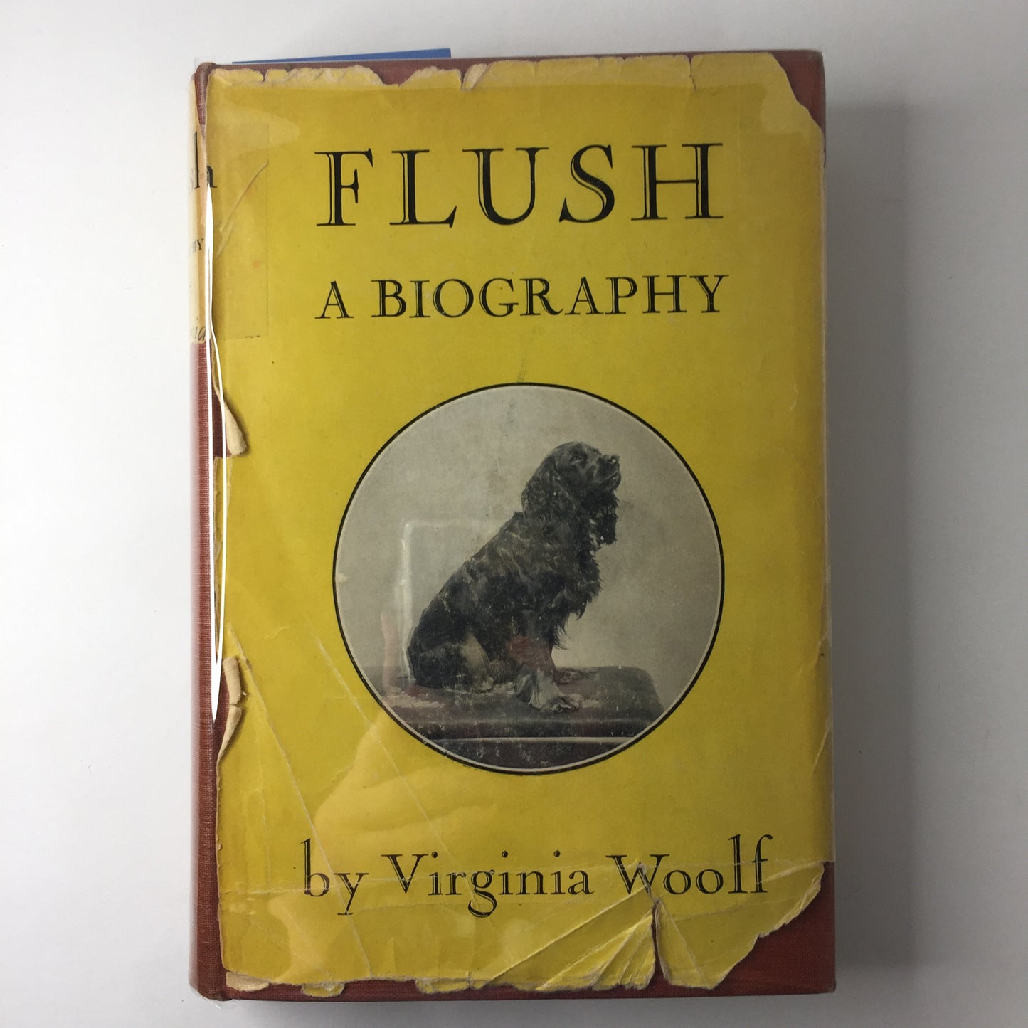 Flush: A Biography - Virginia Woolf - 1st Edition - 1933