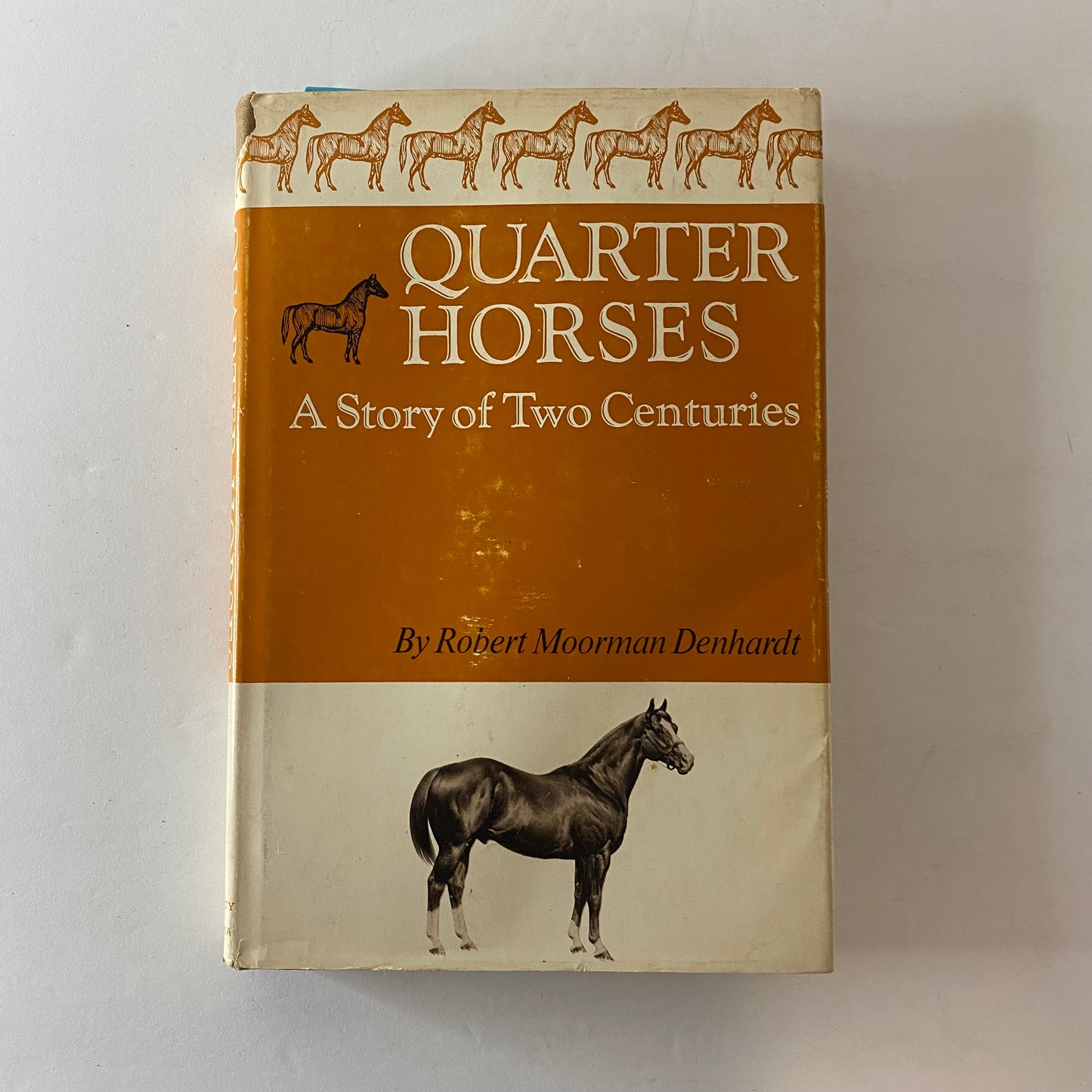 Quarter Horses: A Story of Two Centuries - Robert M. Denhardt - 1967