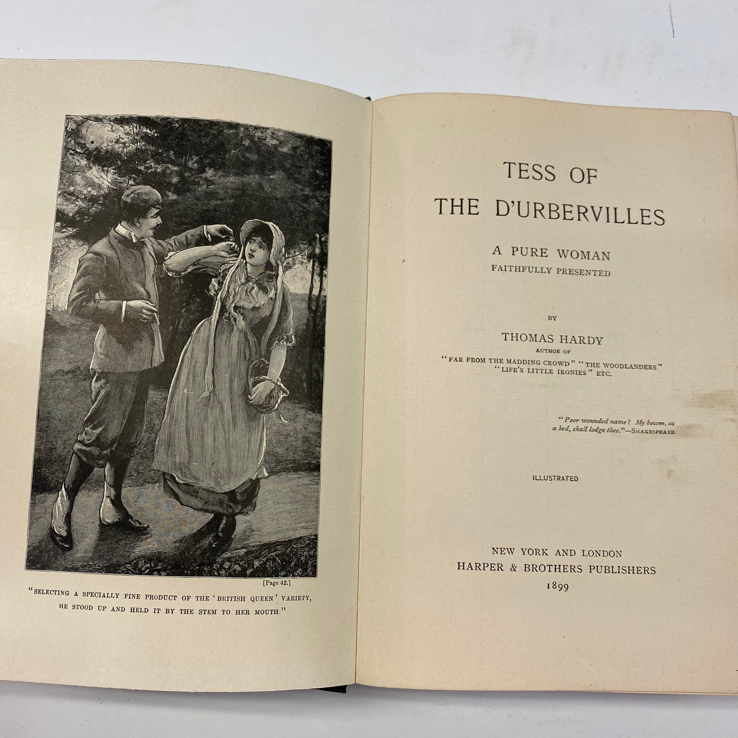 Tess of the D’urbervilles - Thomas Hardy - 1899