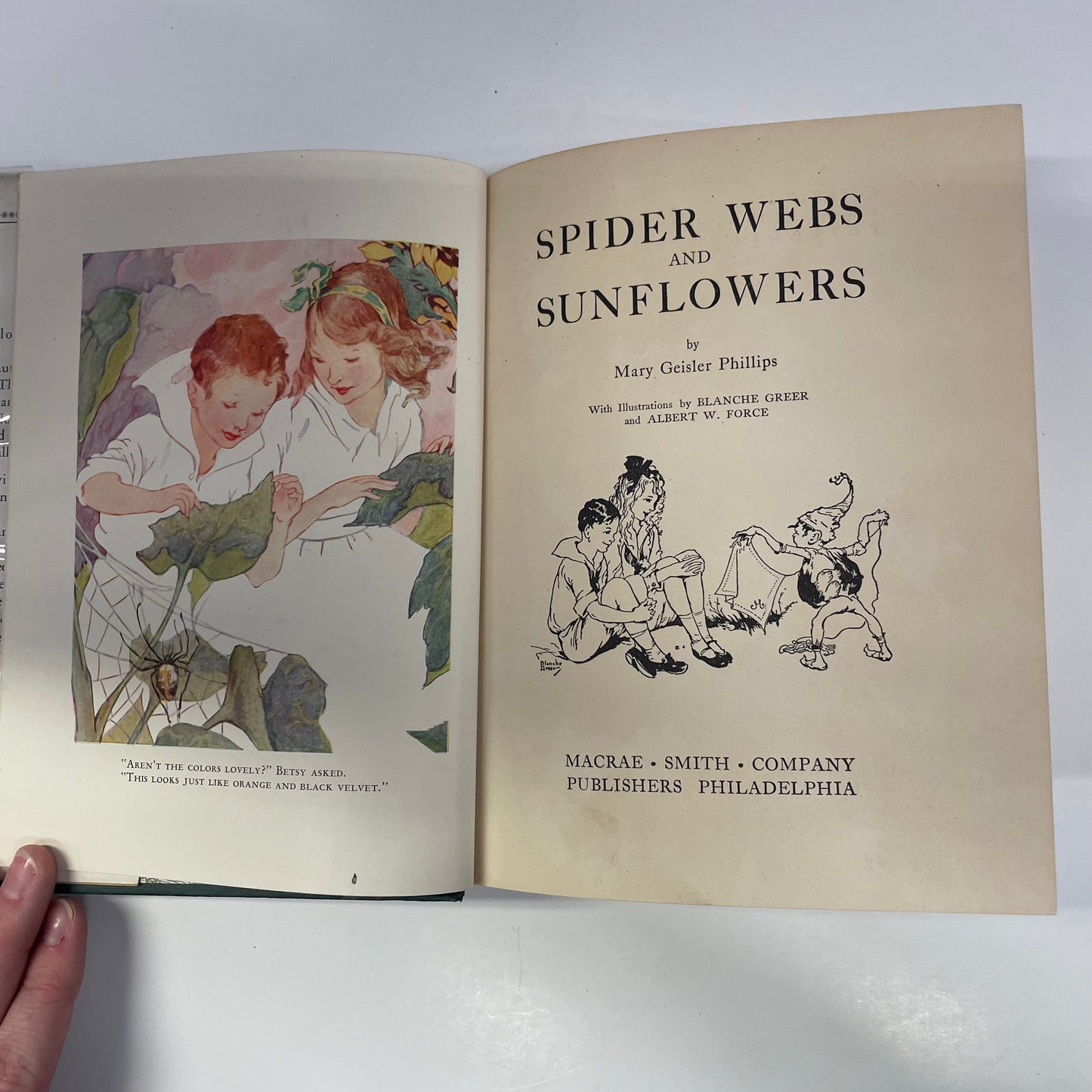 Spider Webs and Sunflowers - Mary Geisler Phillips - First Edition - 1928