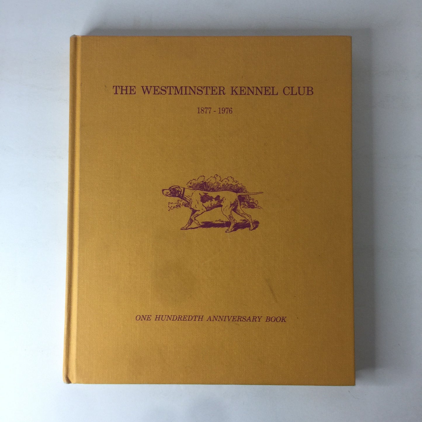 The Westminster Kennel Club - Various - 1976