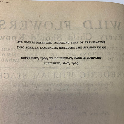 Wild Flowers Every Child Should Know - Frederic William Stack - 1909