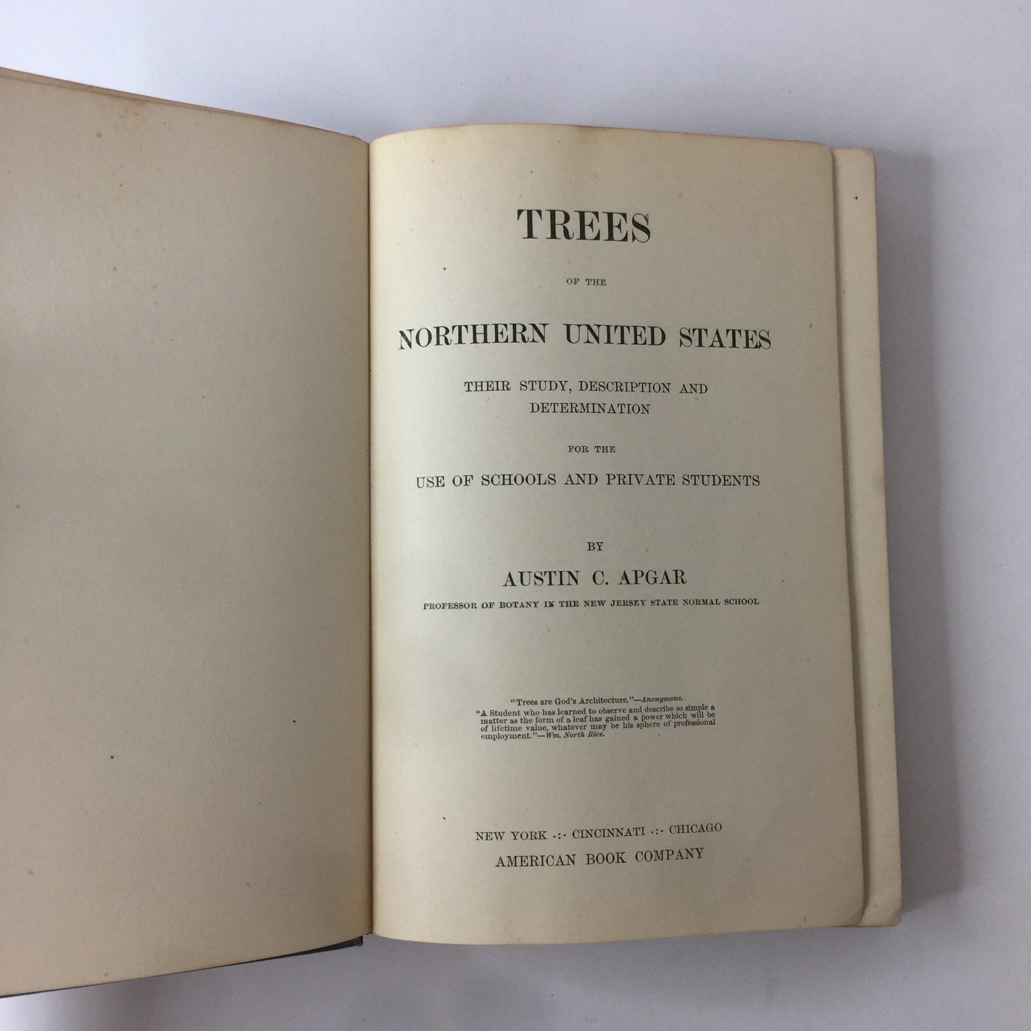 Apgar’s Trees of the Northern United States - Austin Apgar - 1892