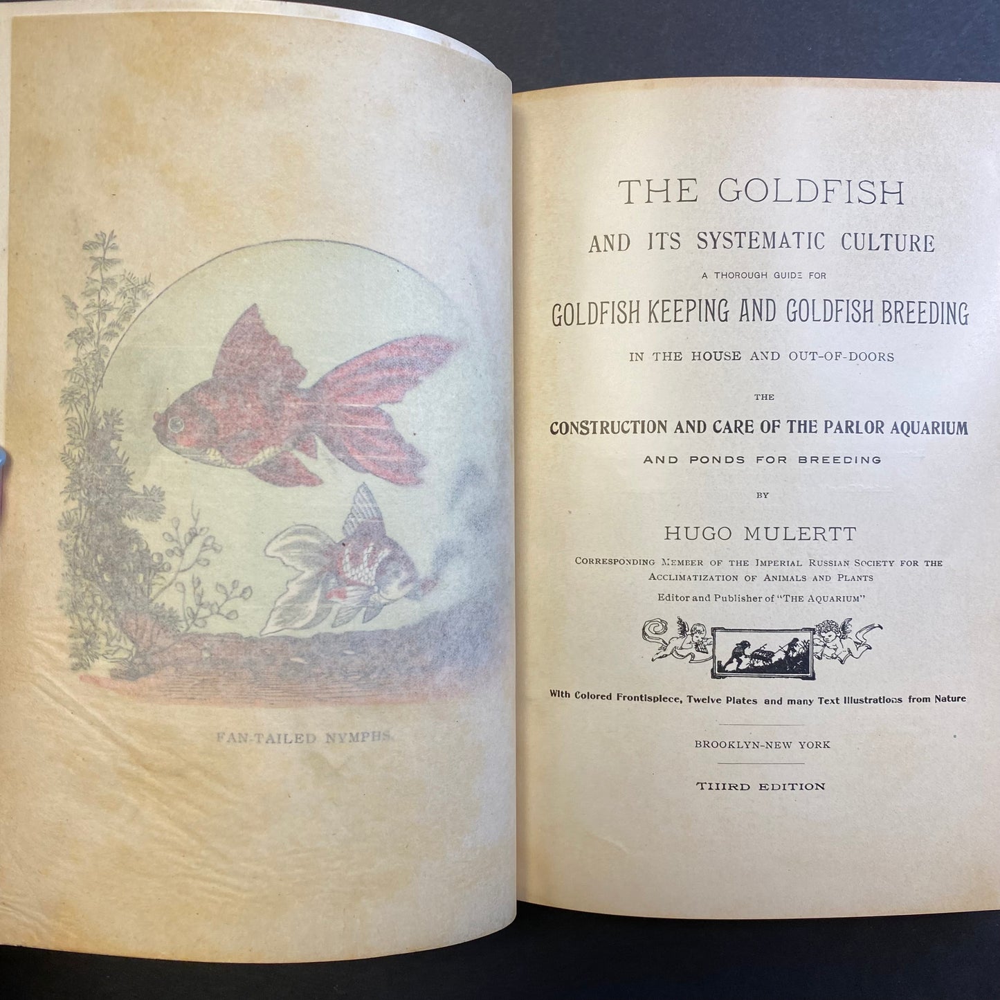 The Goldfish and It’s Culture - Hugo Mulertt - 3rd Edition - 1902