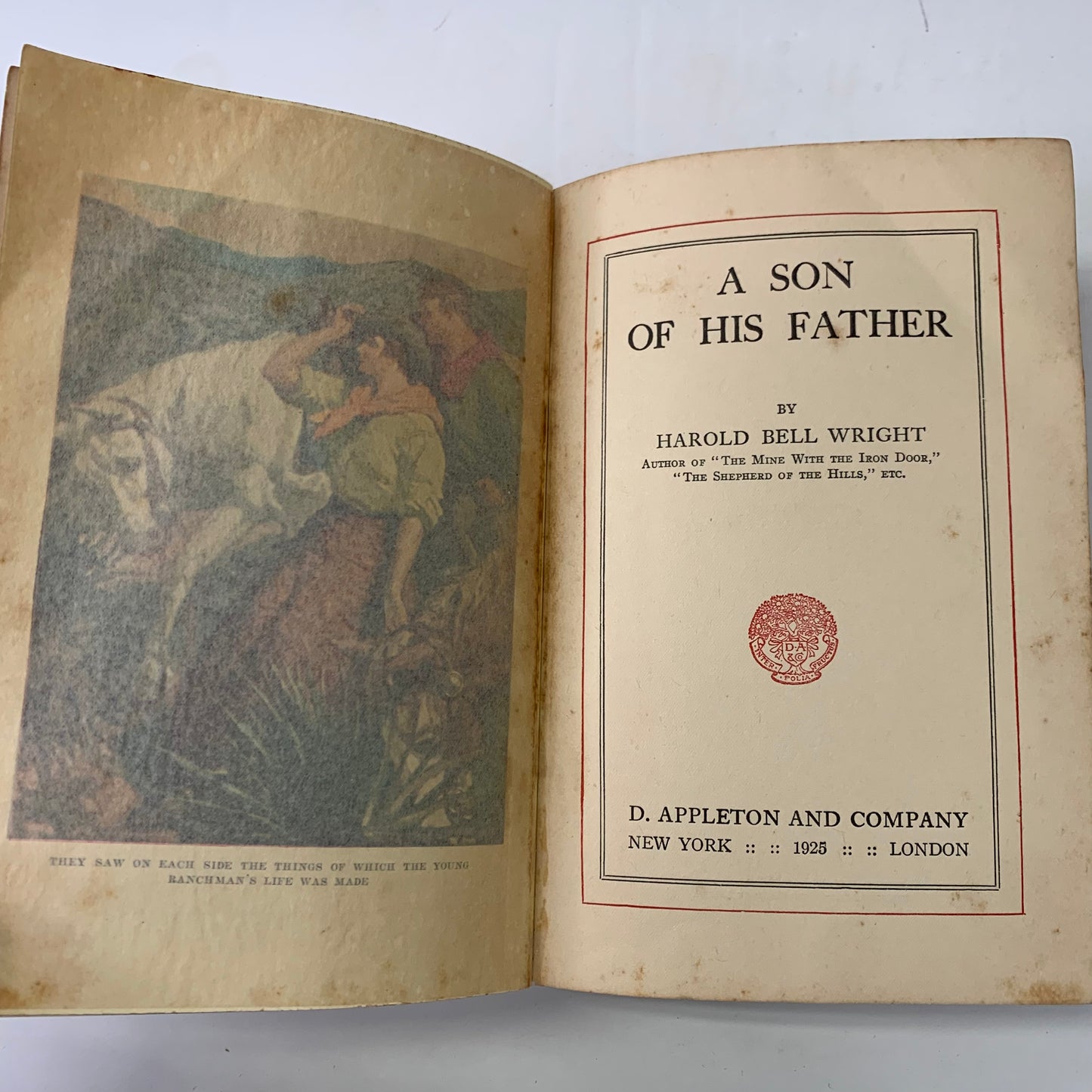 A Son of His Father - Harold Bell Wright - 1st Edition - 1925