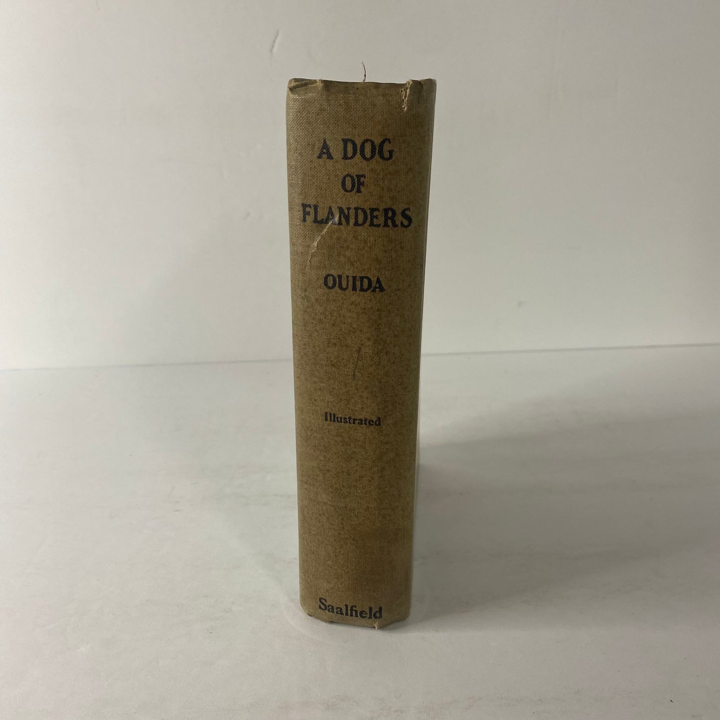 A Dog of Flanders - Louisa de la Ramee (Ouida) - 1927