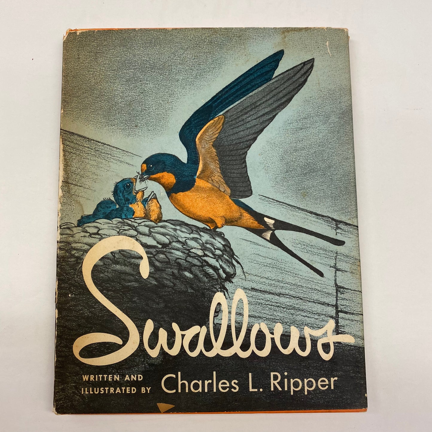 Swallows - Charles L. Ripper - Signed - 1964