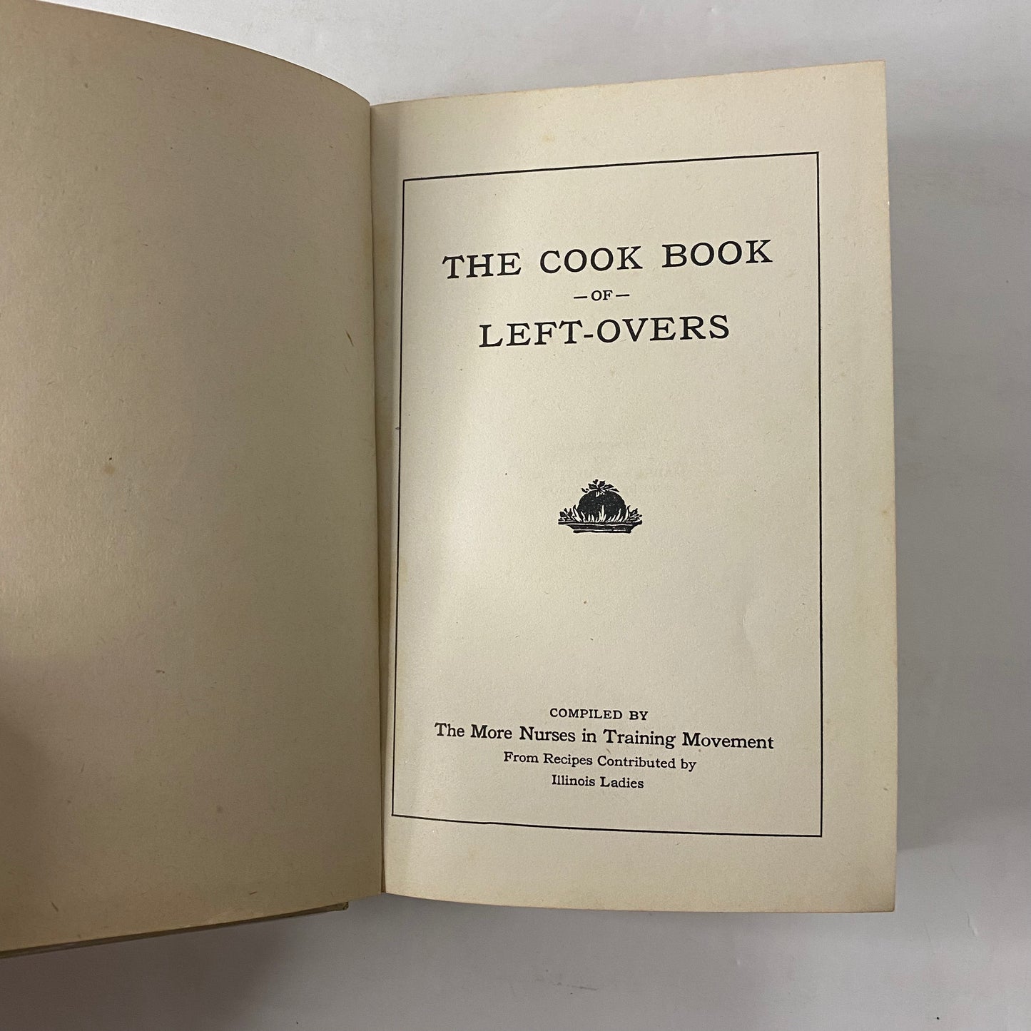 The Cook Book of Left-Overs - The More Nurses In Training Movement - 1920