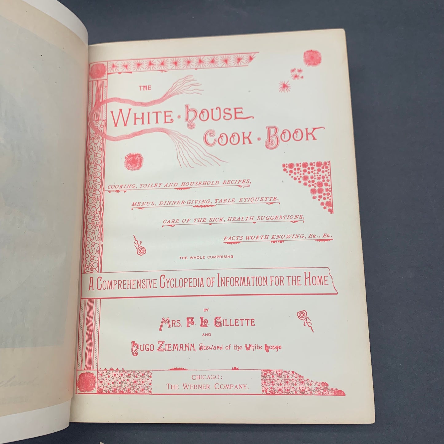 The White House Cook Book - Mrs. F. L. Gillette and Hugo Ziemann - 1890