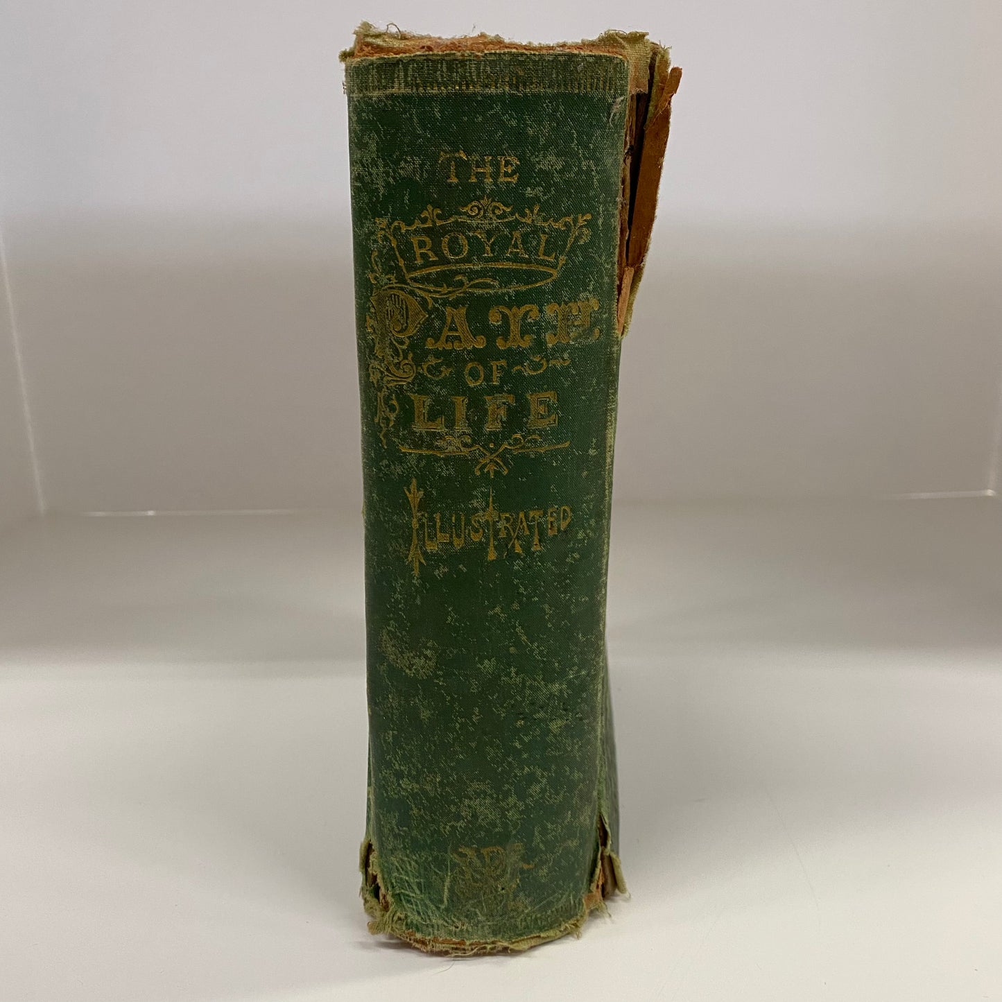 The Royal Path of Life - T. L. Haines and L. W. Yaggy - 1880