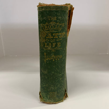 The Royal Path of Life - T. L. Haines and L. W. Yaggy - 1880