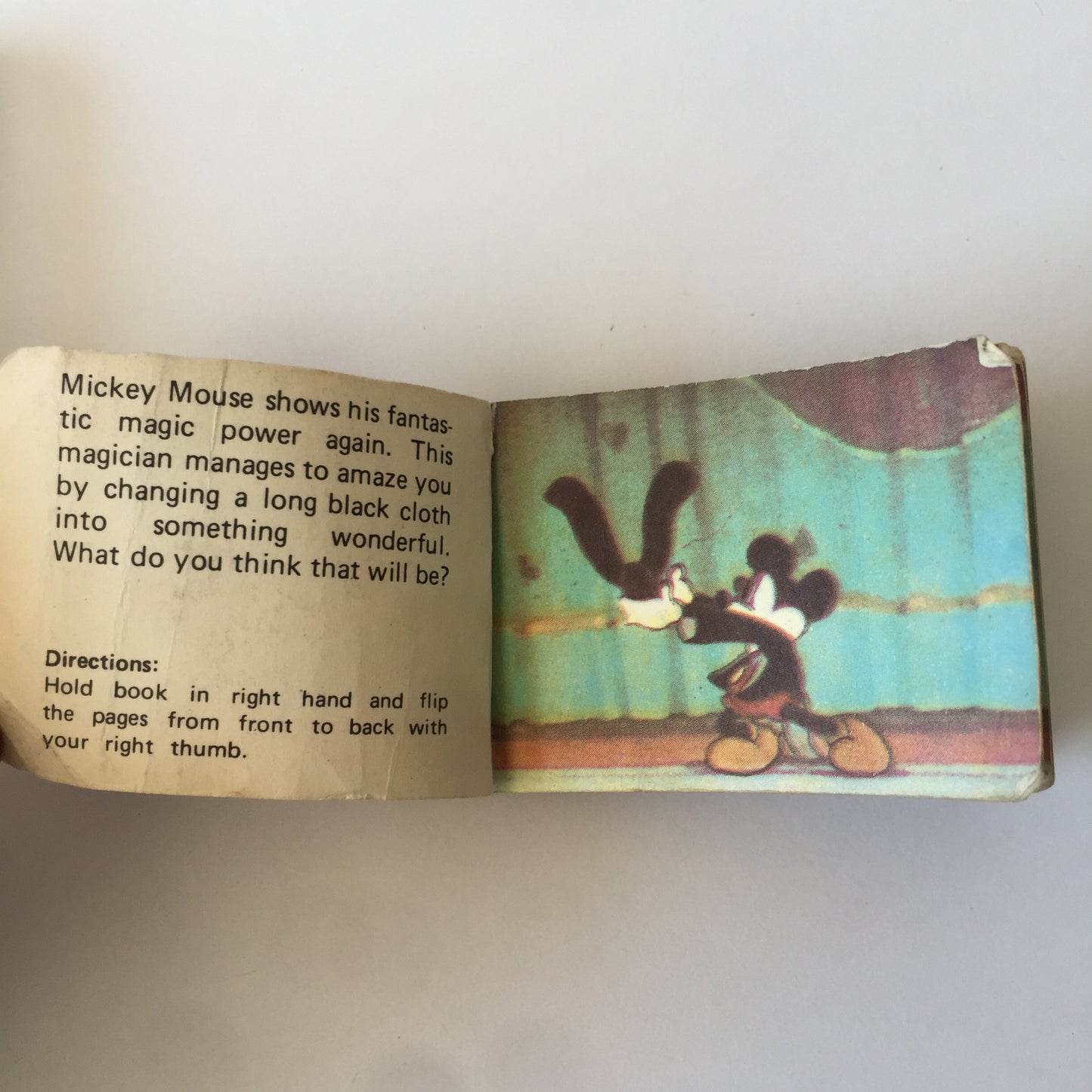 Moving Picture Flipbook - Walt Disney