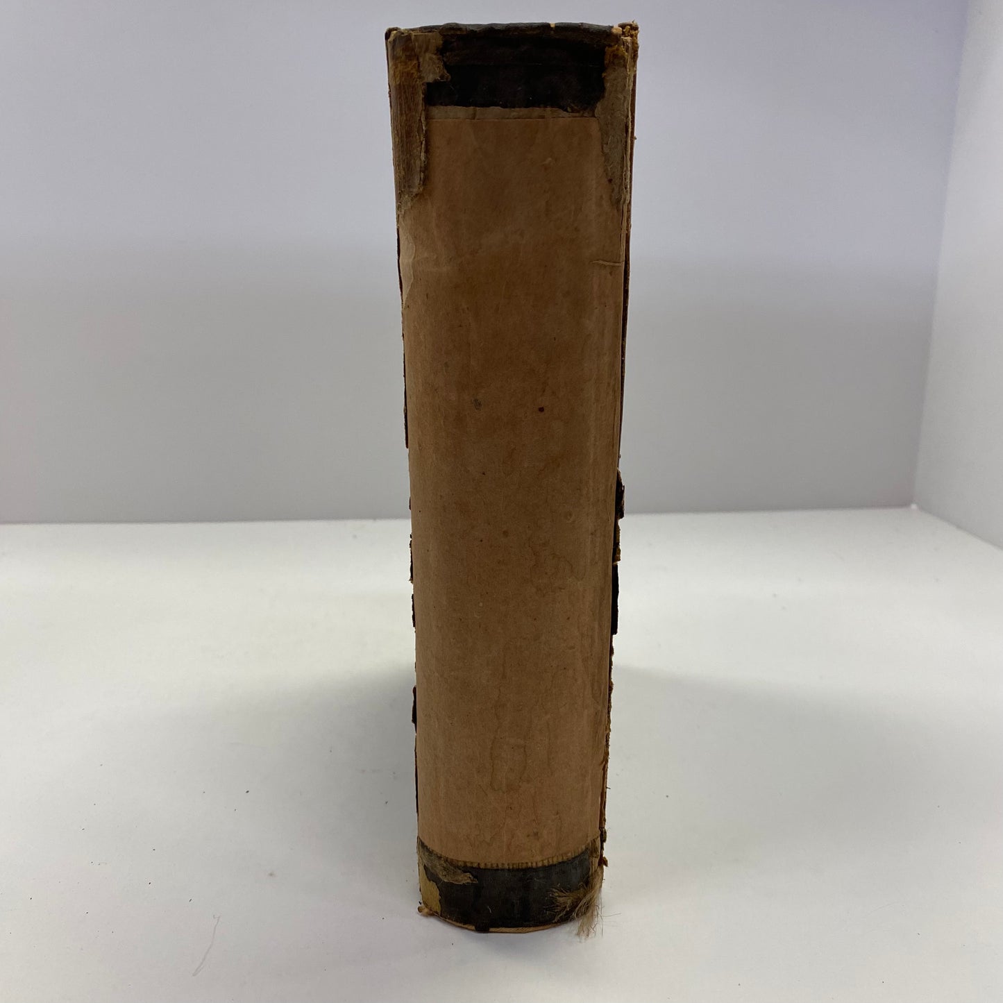 The Dealings of God, Man, and the Devil - Peggy Dohl - 1856