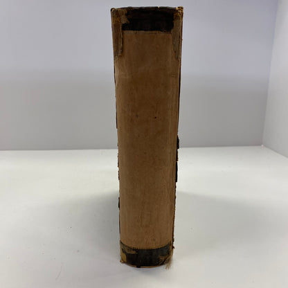 The Dealings of God, Man, and the Devil - Peggy Dohl - 1856