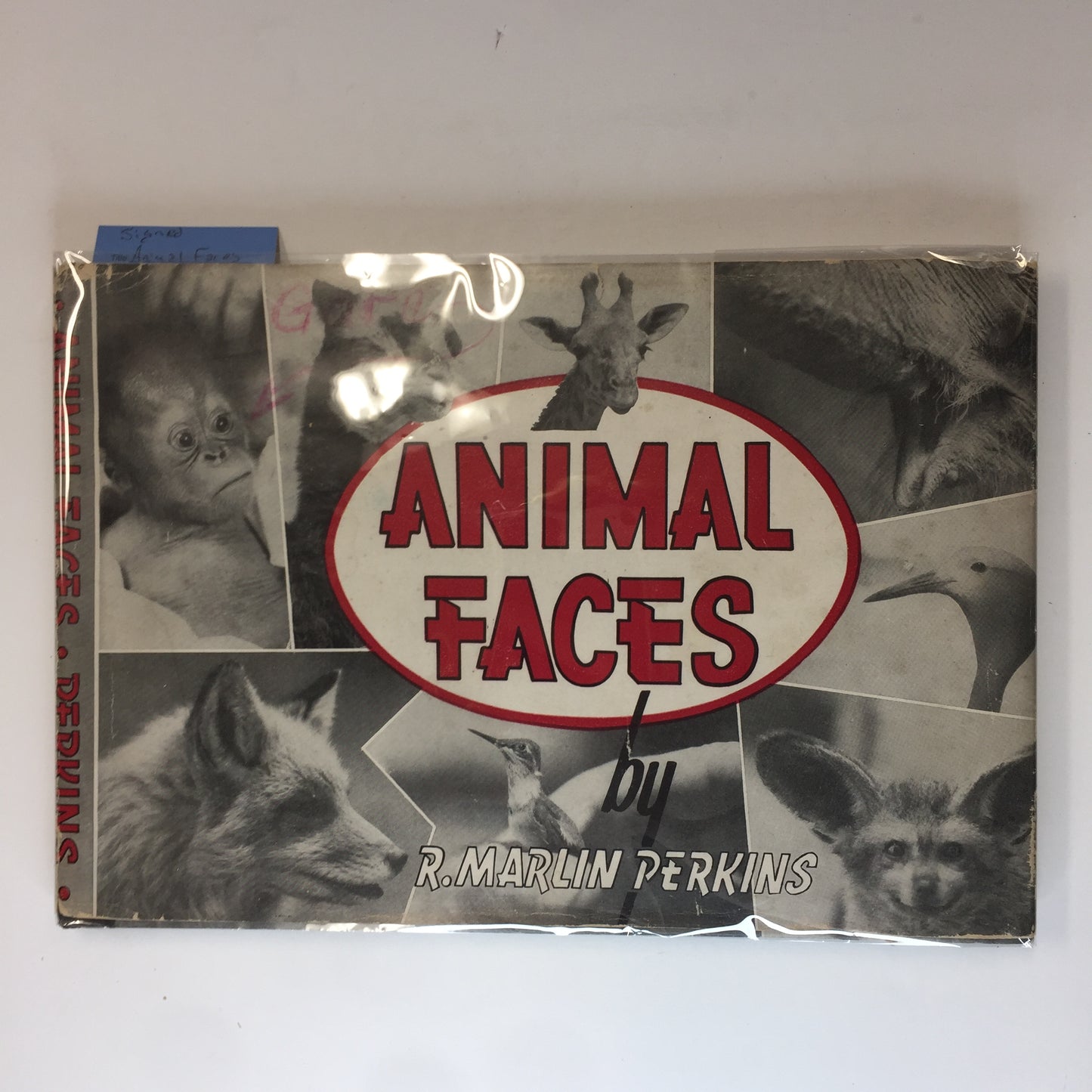 Animal Faces - R. Marlin Perkins - Signed - 1944