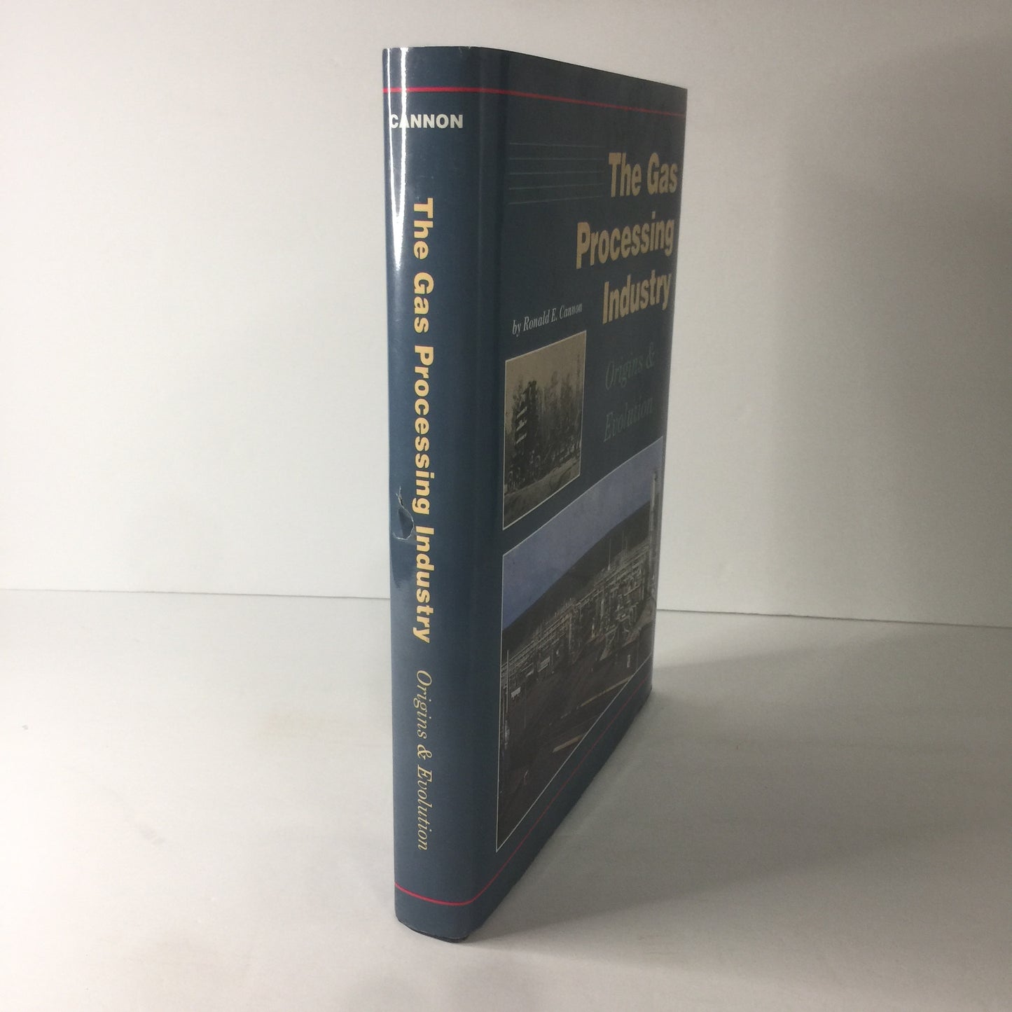 The Gas Processing Industry - Ronald E. Cannon - 1st Edition - 1993