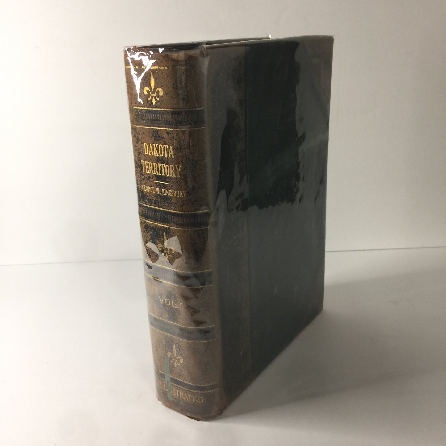 Dakota Territory - George W. Kingsbury - Vol. I - Illustrated - 1915