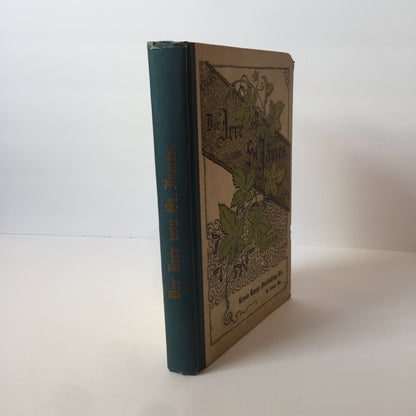 Der Irre Von St. James - Falen - Reprint, St. Louis, MO - 1924