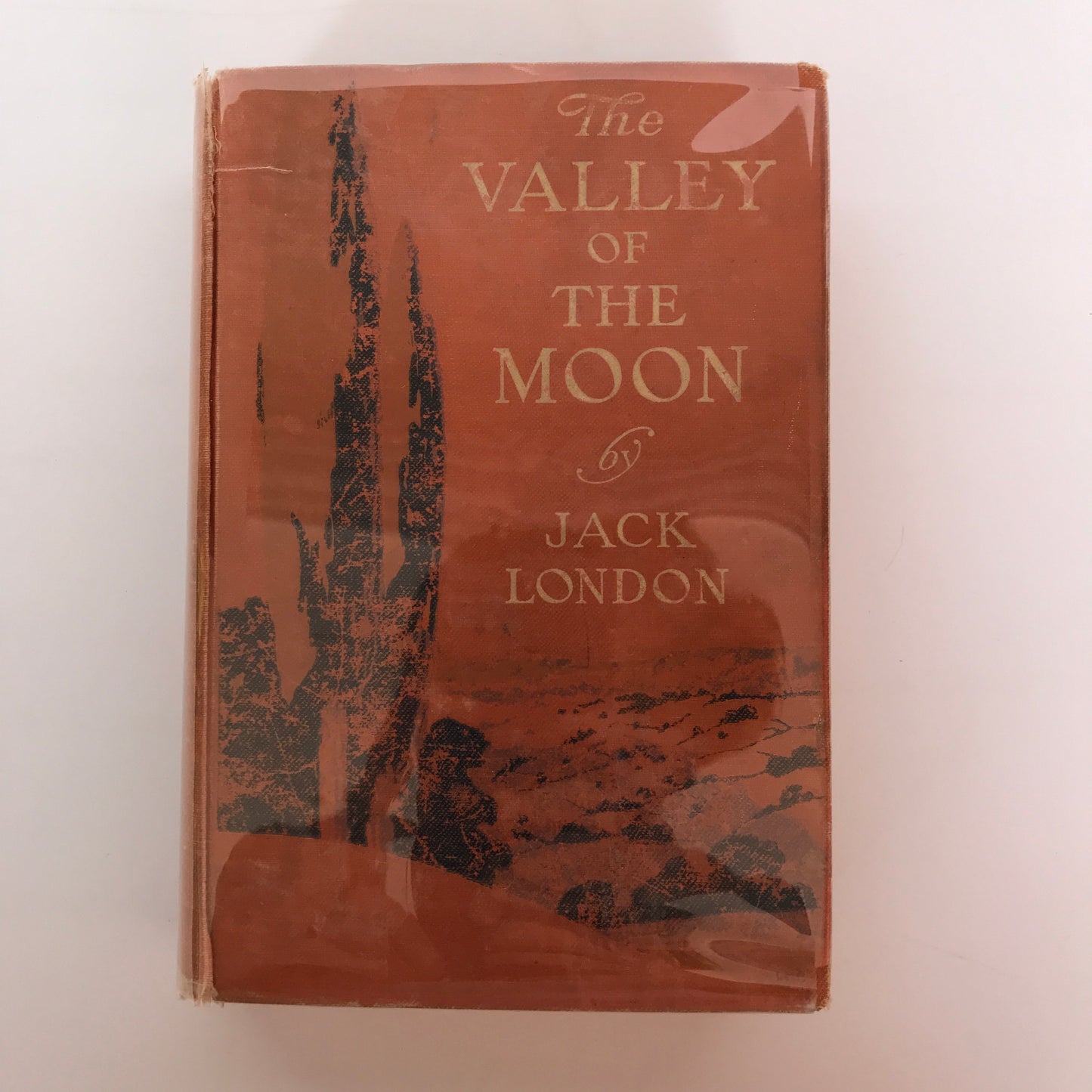 The Valley of the Moon - Jack London - 1913