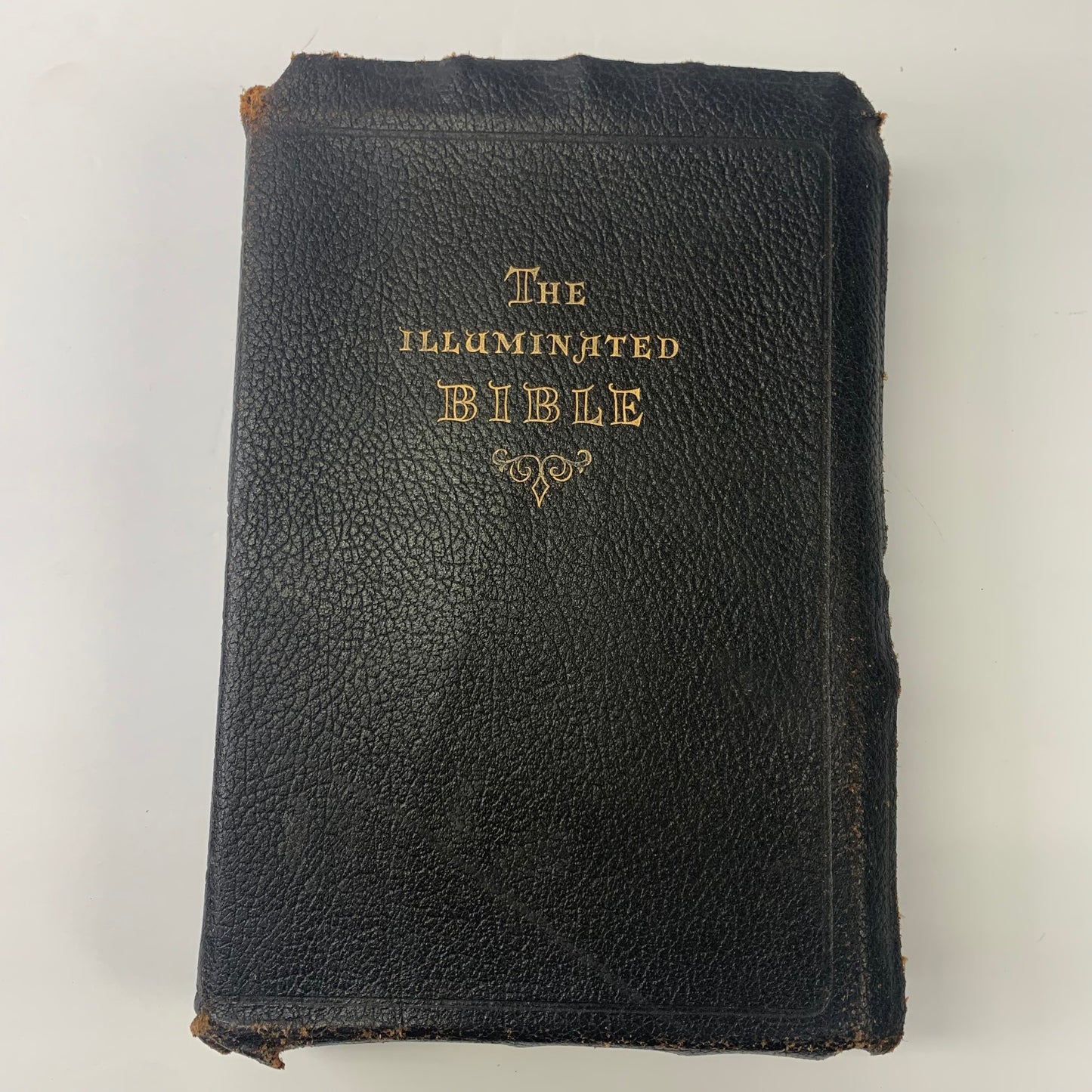 The Illuminated Bible - Various - 1954