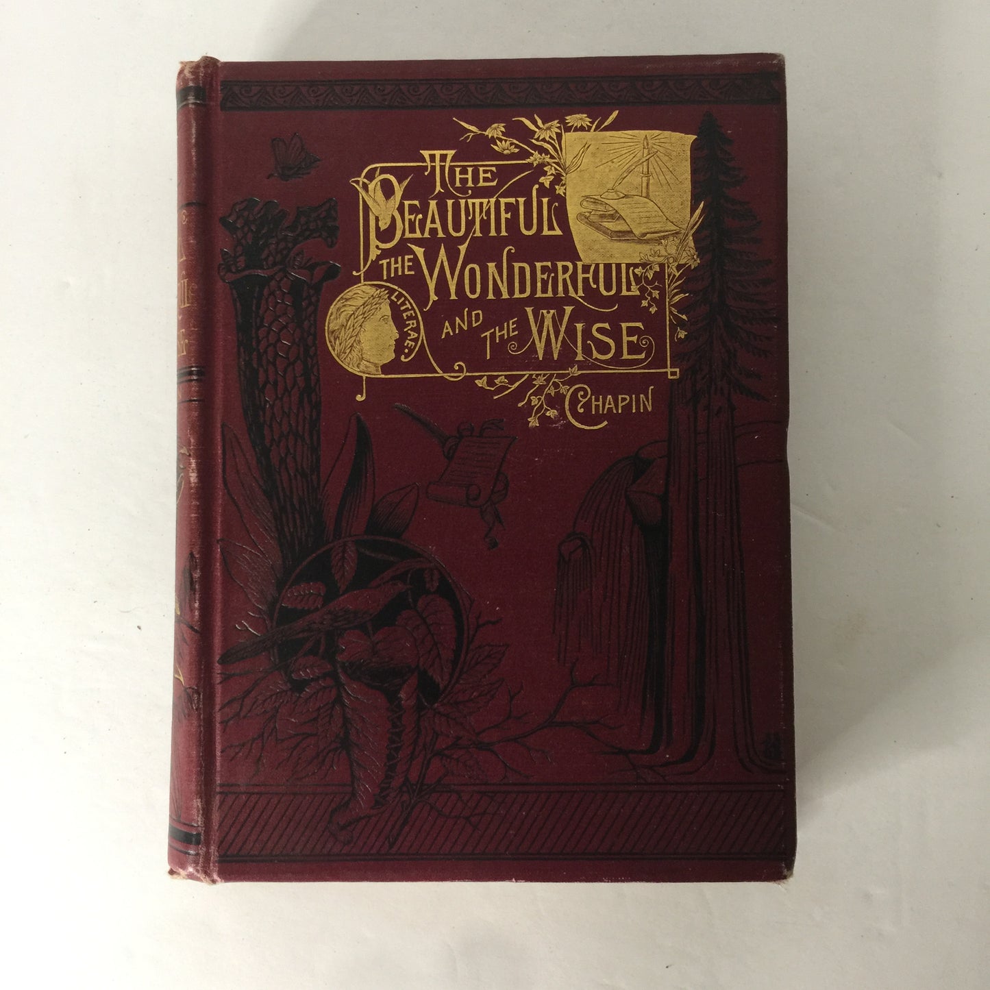 The Beautiful, the Wonderful, and the Wise - L. N. Chapin - 1884