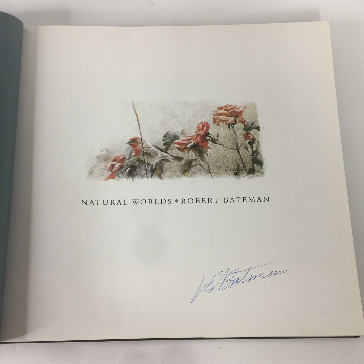 Robert Bateman Natural Worlds - Rick Archbold - Signed - 1996