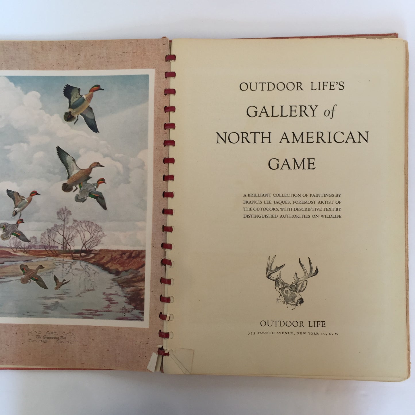 Outdoor Life’s Gallery of North American Game - Francis Lee Jaques - 1st Edition - 1946