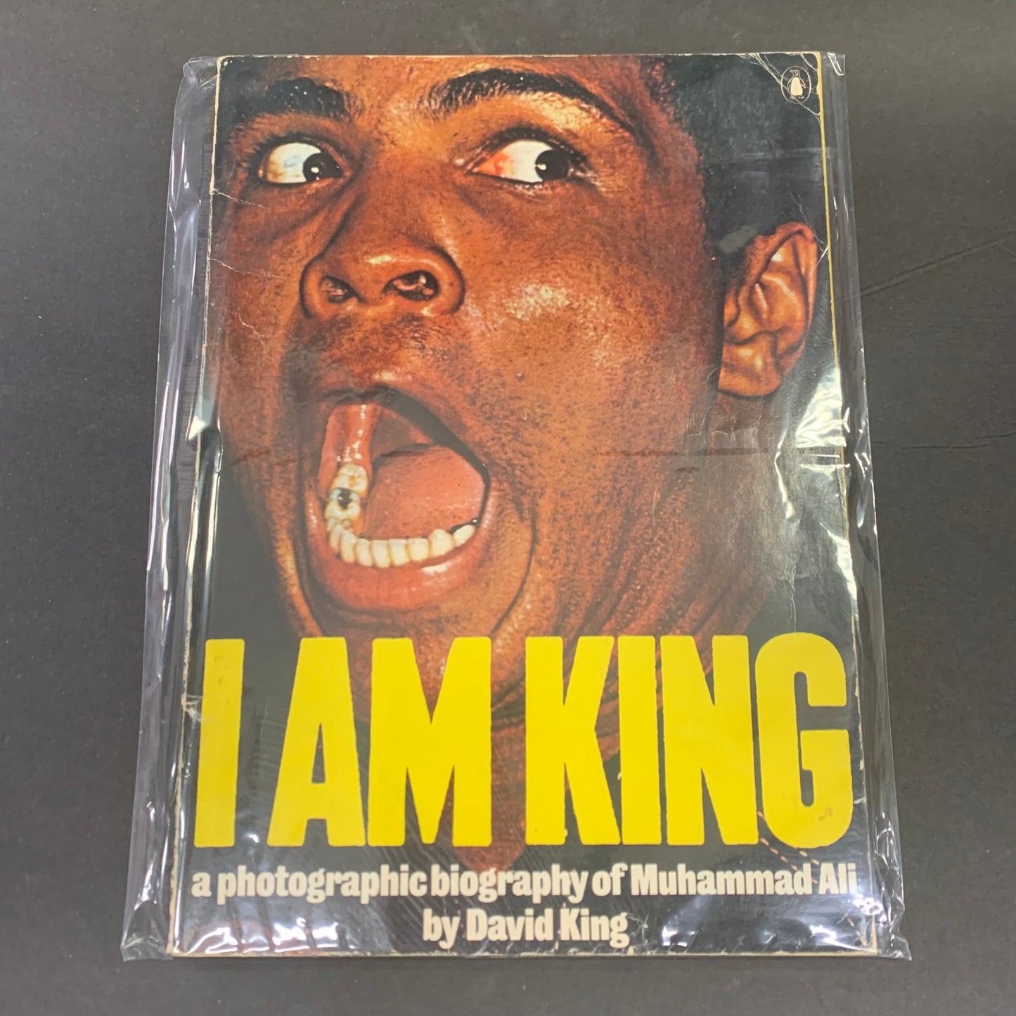 I Am King - David King - 1975