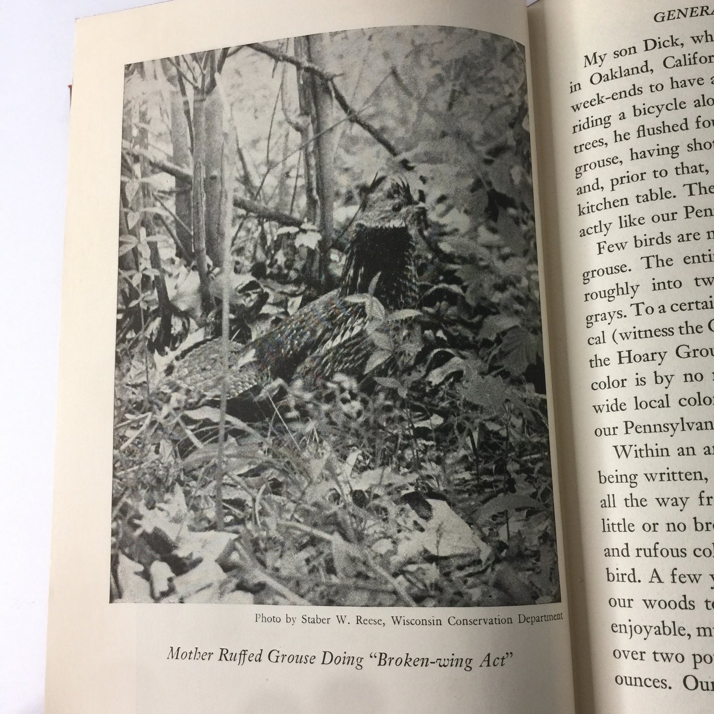 Ruffed Grouse - J. A. Knight - 1st Edition - 1947