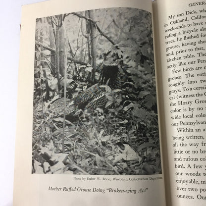 Ruffed Grouse - J. A. Knight - 1st Edition - 1947