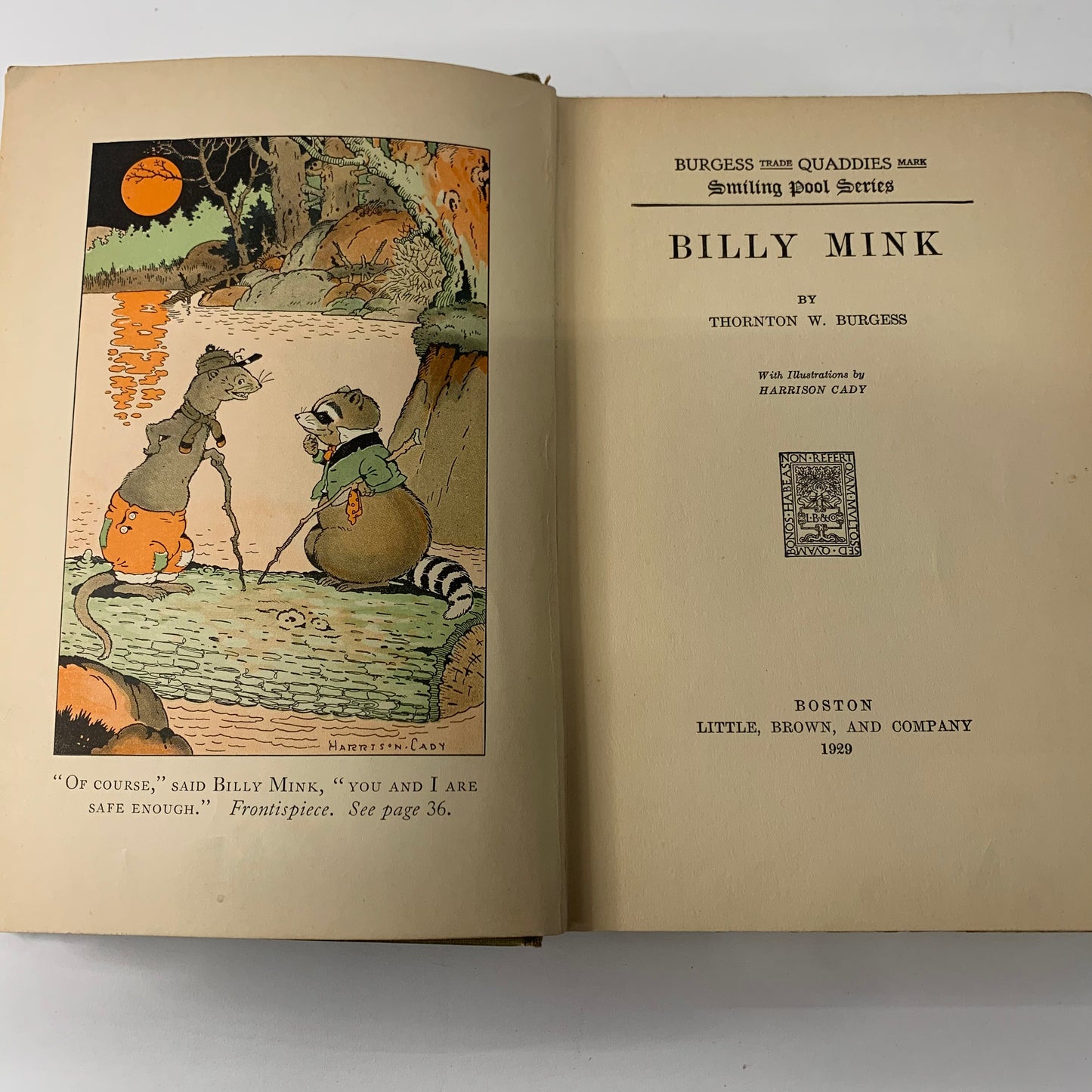 Billy Mink - Thornton W. Burgess - Later Print - Color Plates - 1929