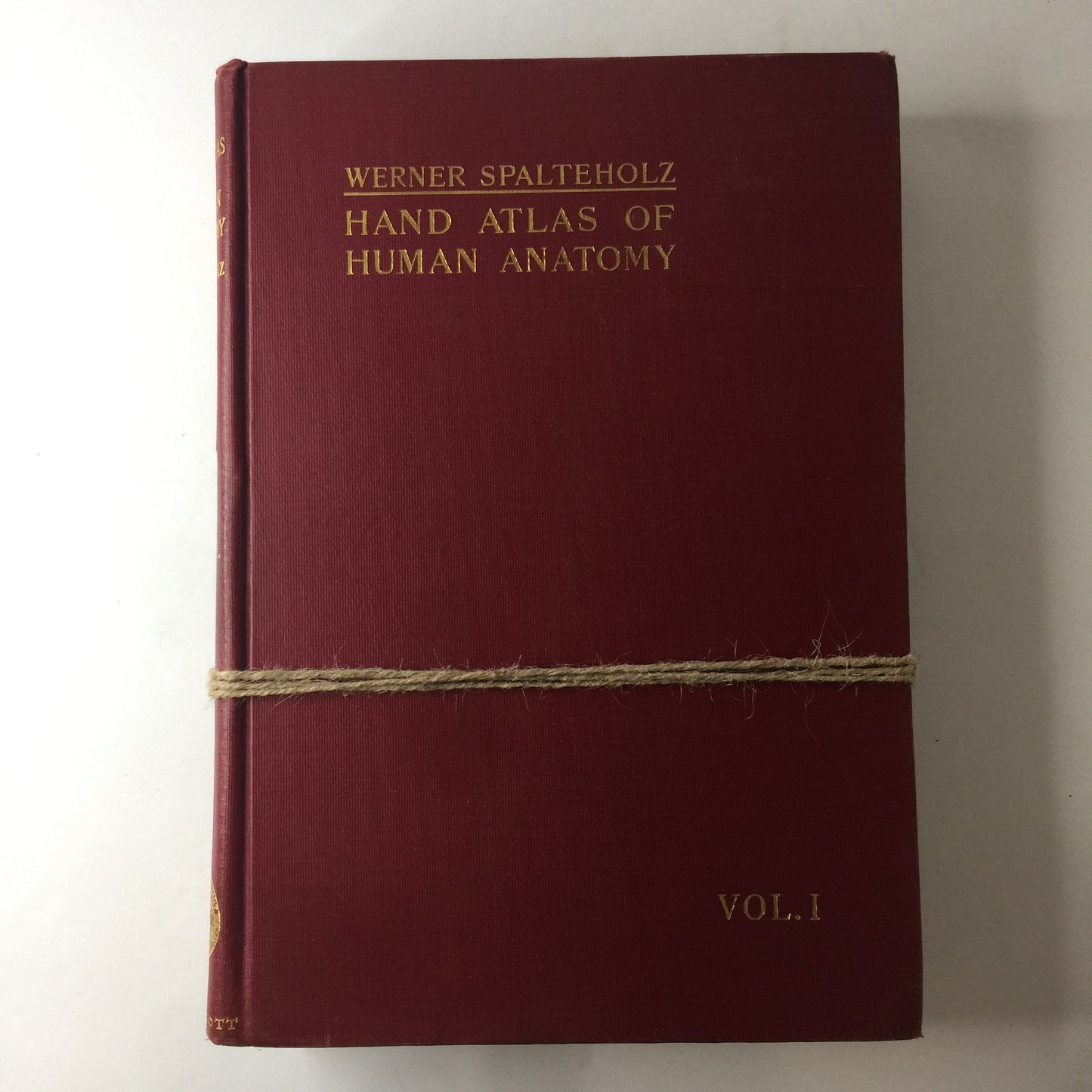 Hand Atlas of Human Anatomy - Werner Spalteholz - 2 Vol. Set - c. 1910