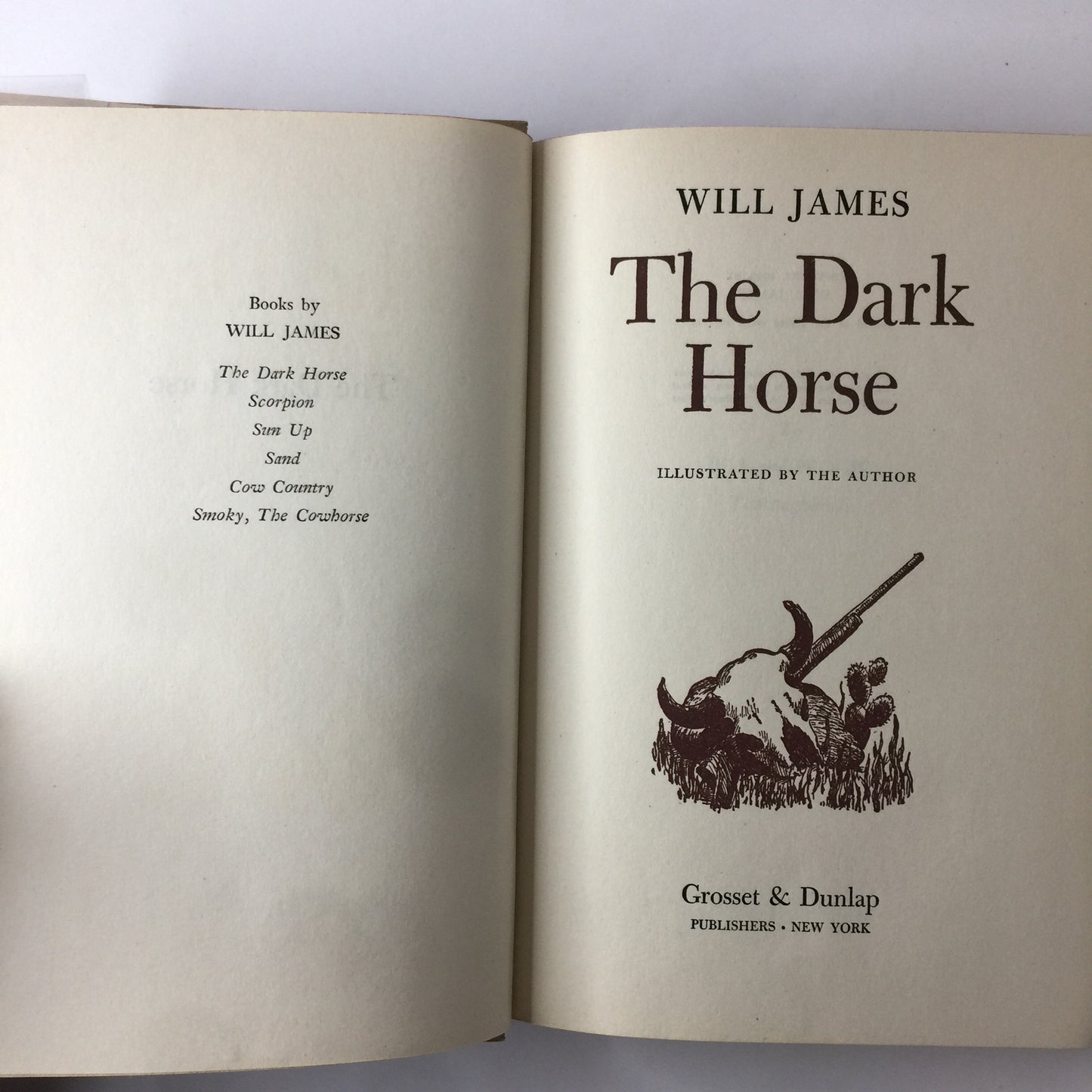 The Dark Horse - Will James