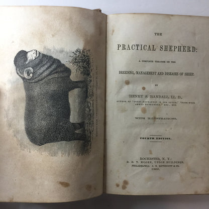 The Practical Shepherd - Henry S. Randall - 4th Edition - 1863