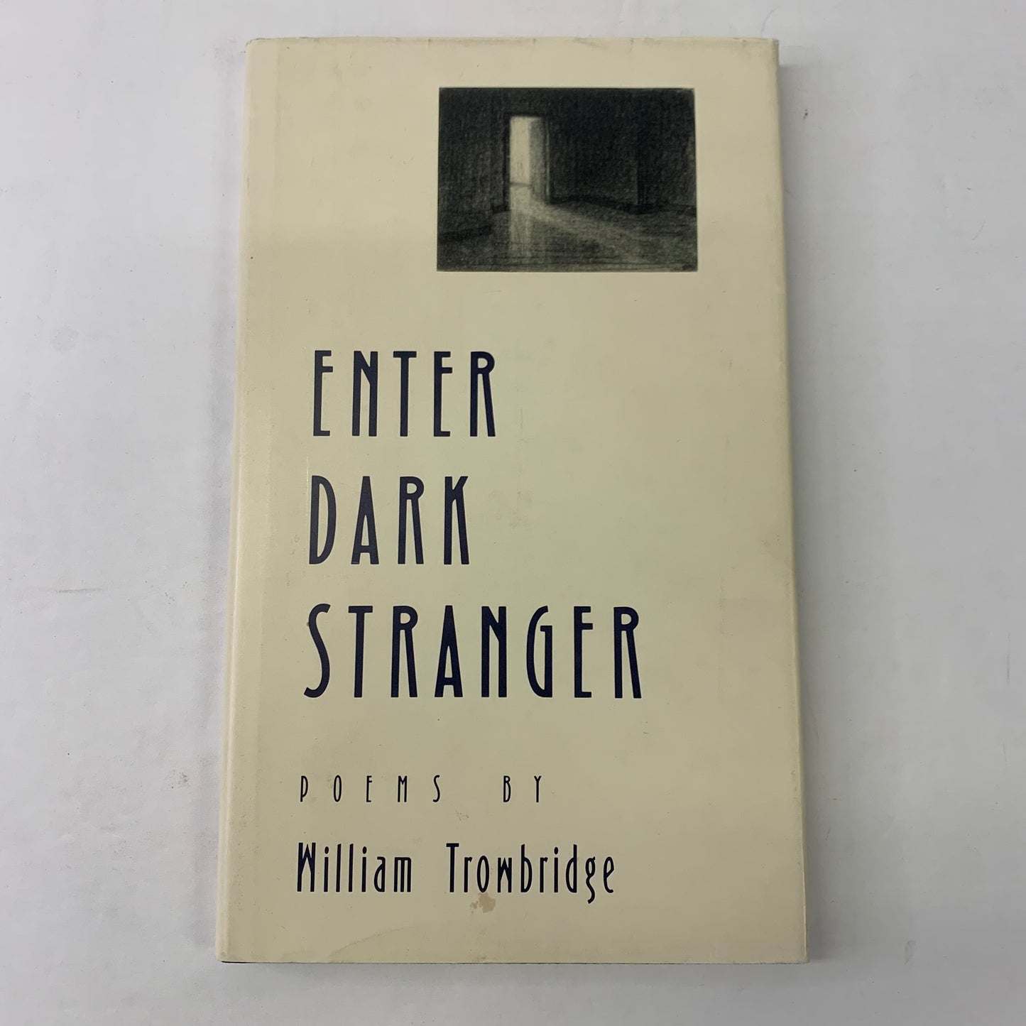 Enter Dark Stranger - William Trowbridge - 1989