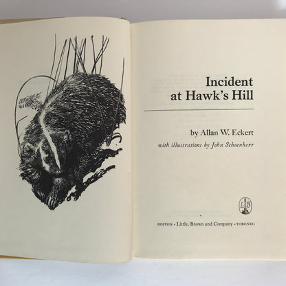 Incident at Hawks Hill - Allan W. Eckert - 1st Edition - 1971