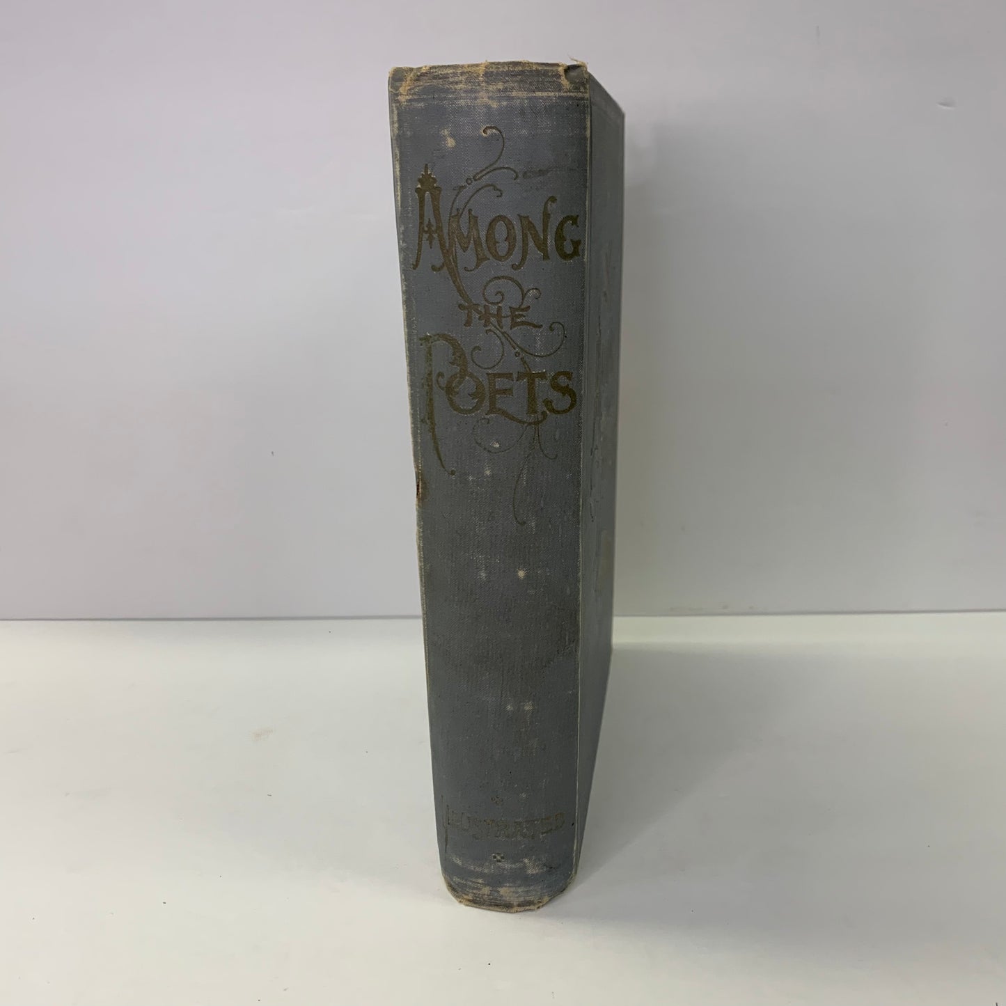 Among the Poets - R. C. V. Meyers - 1895