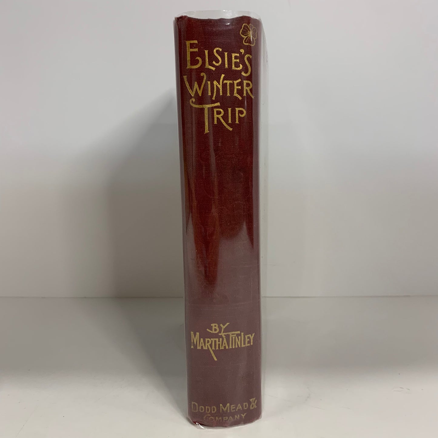 The Elsie Books: Elsie’s Winter Trip - Martha Finley - 1902