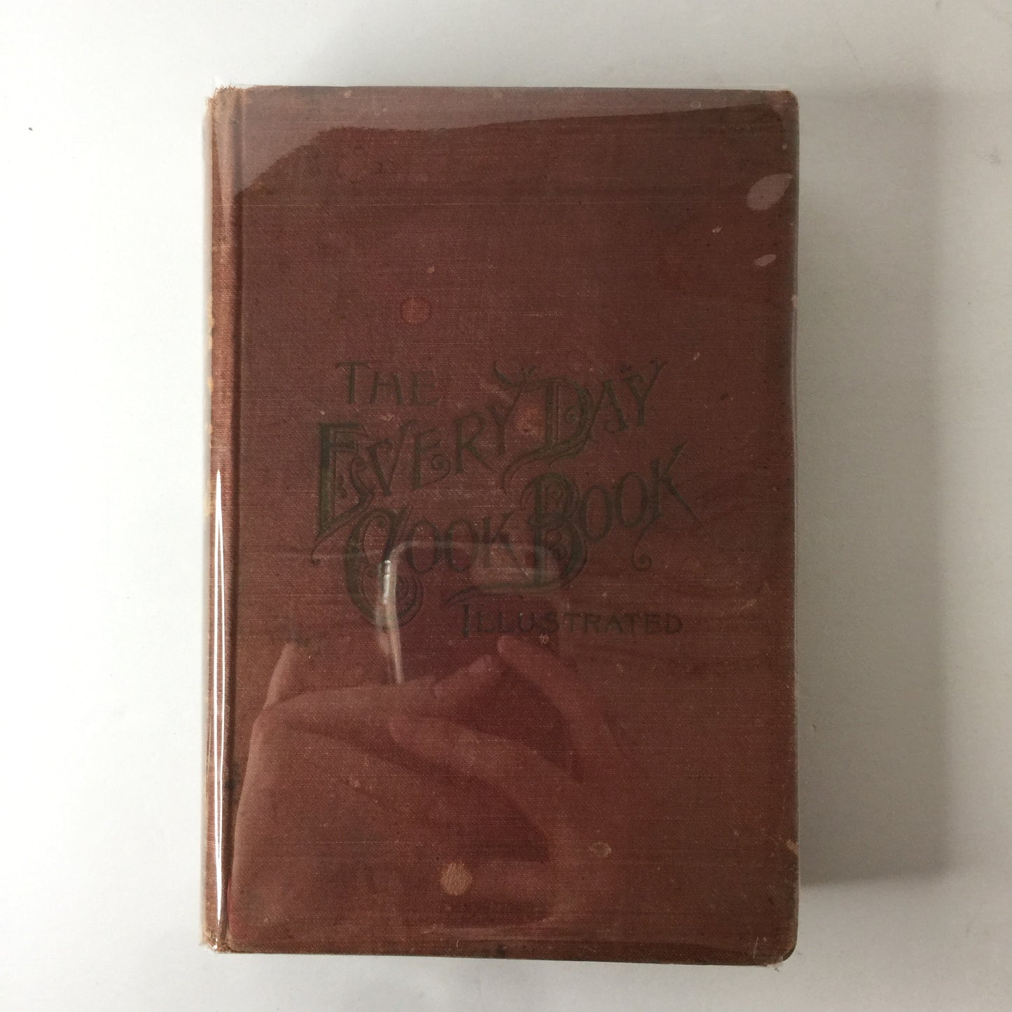 The Everyday Cookbook - E. Neil - 1892