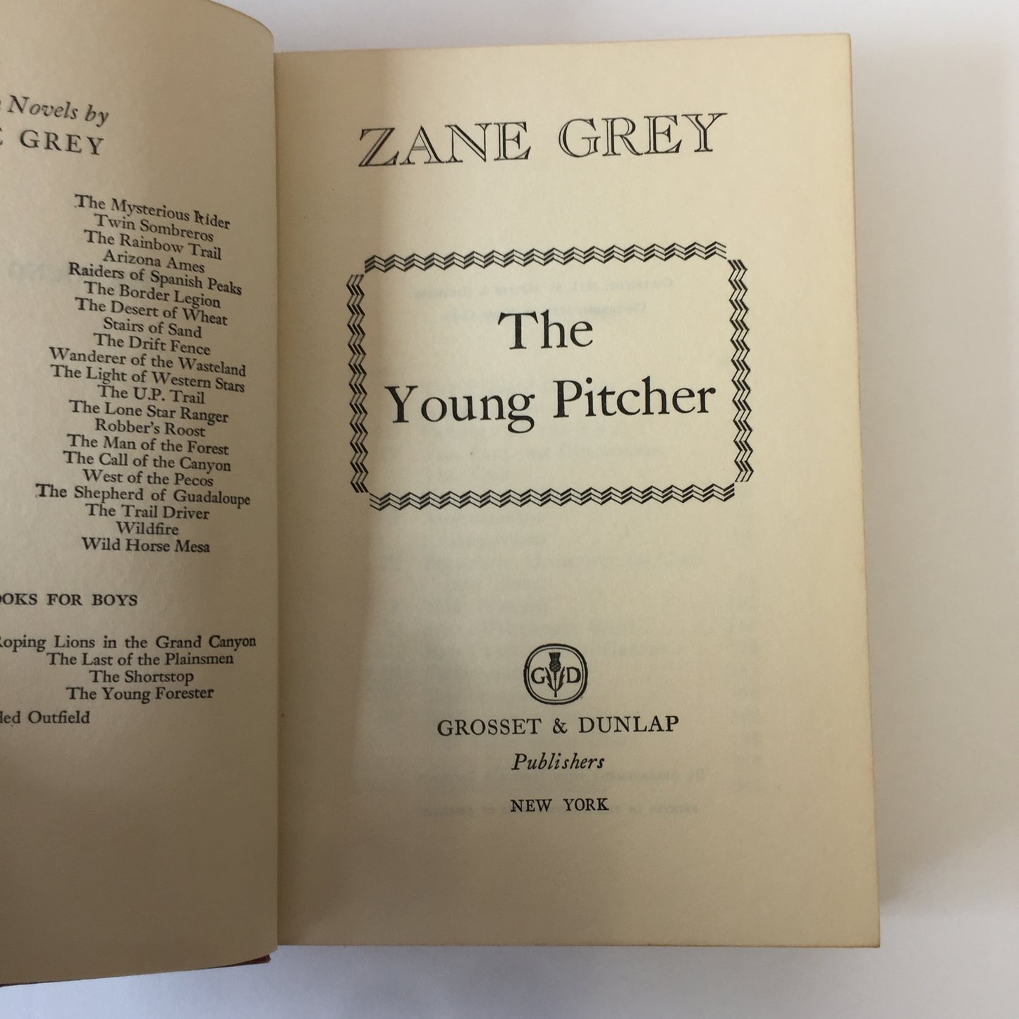 The Young Pitcher - Zane Grey