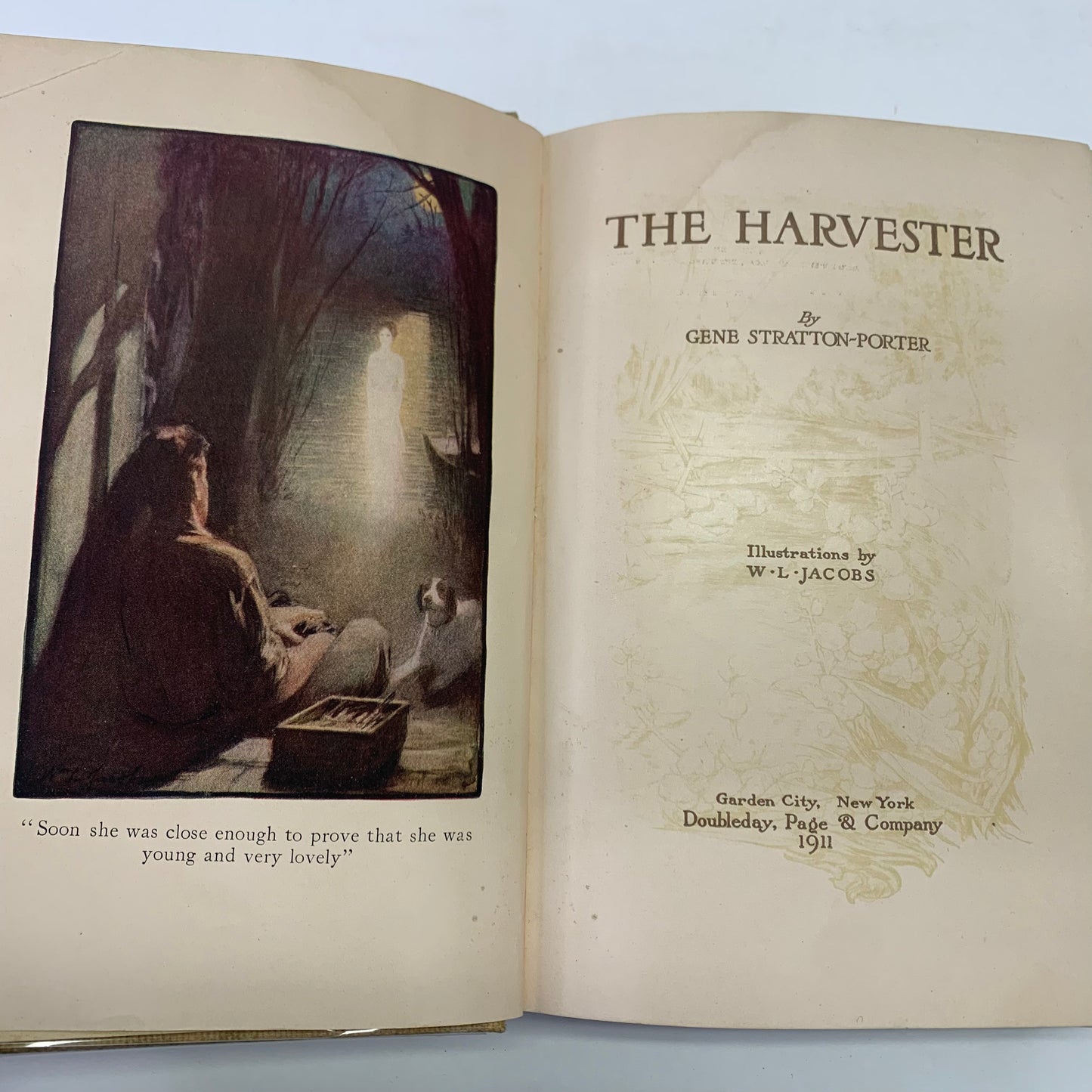 The Harvester - Gene Stratton-Porter - 1st Edition - 1911